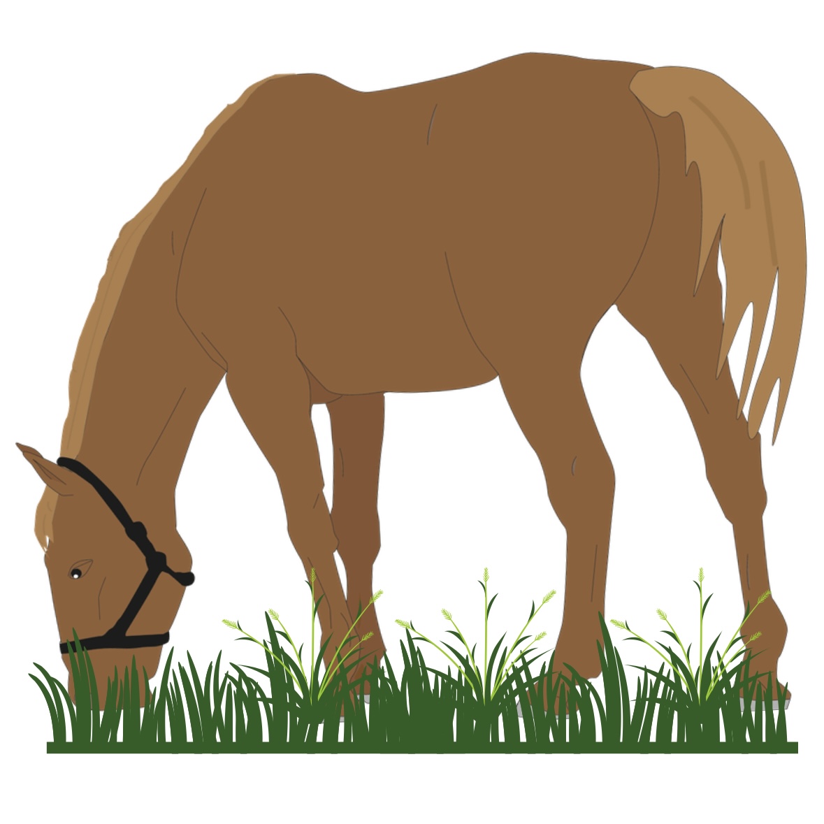 a cartoon horse grazing on some green grass